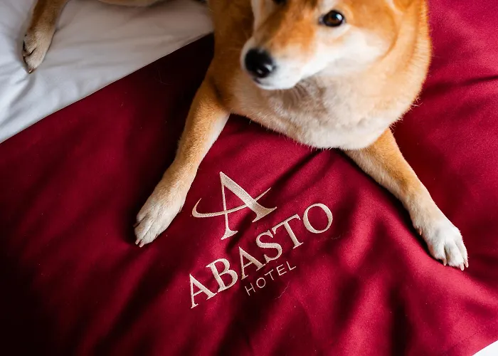Otel Abasto